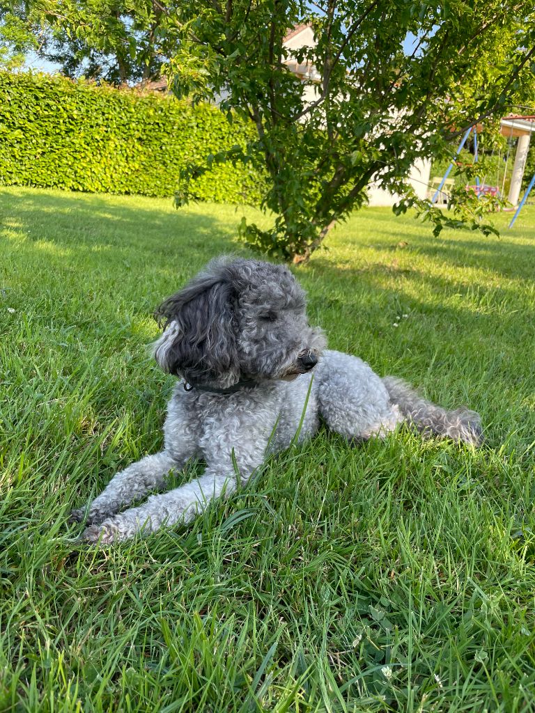 Sofia du Moulin de la Terrasse